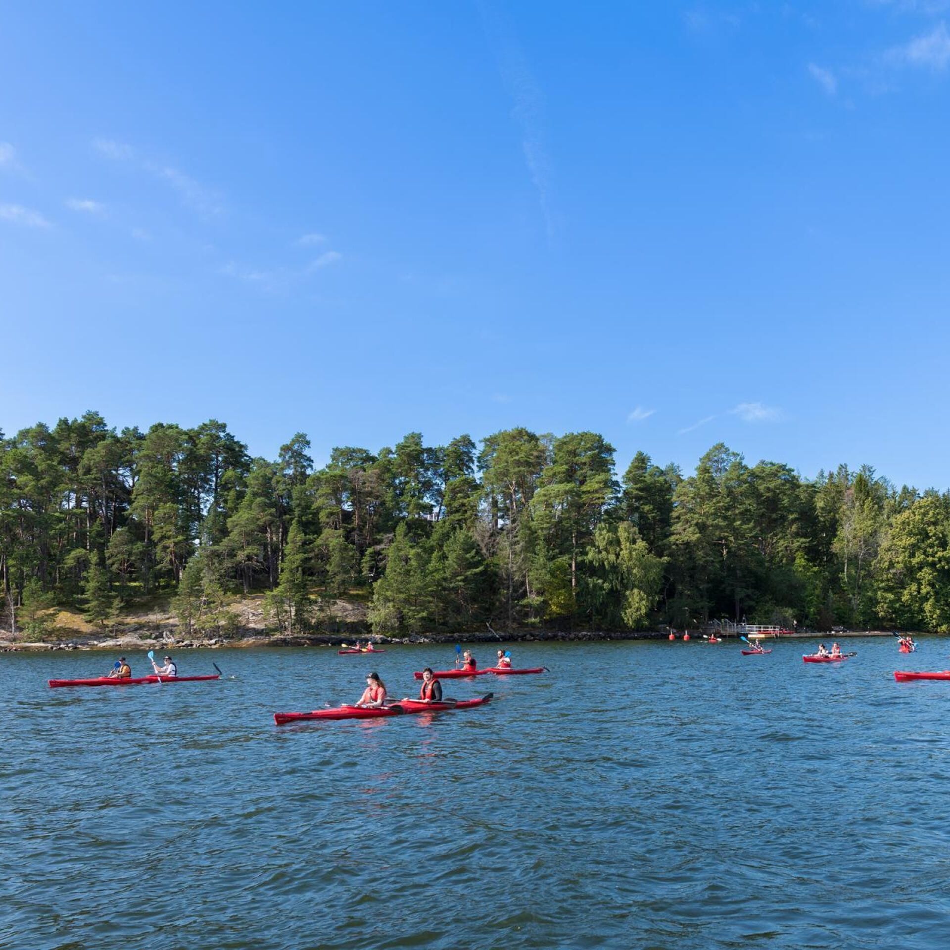Metacoreans out in the wild kayaking